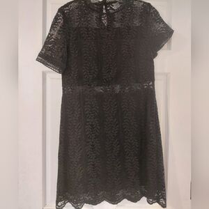 MINKPINK Black Lace Mini Dress